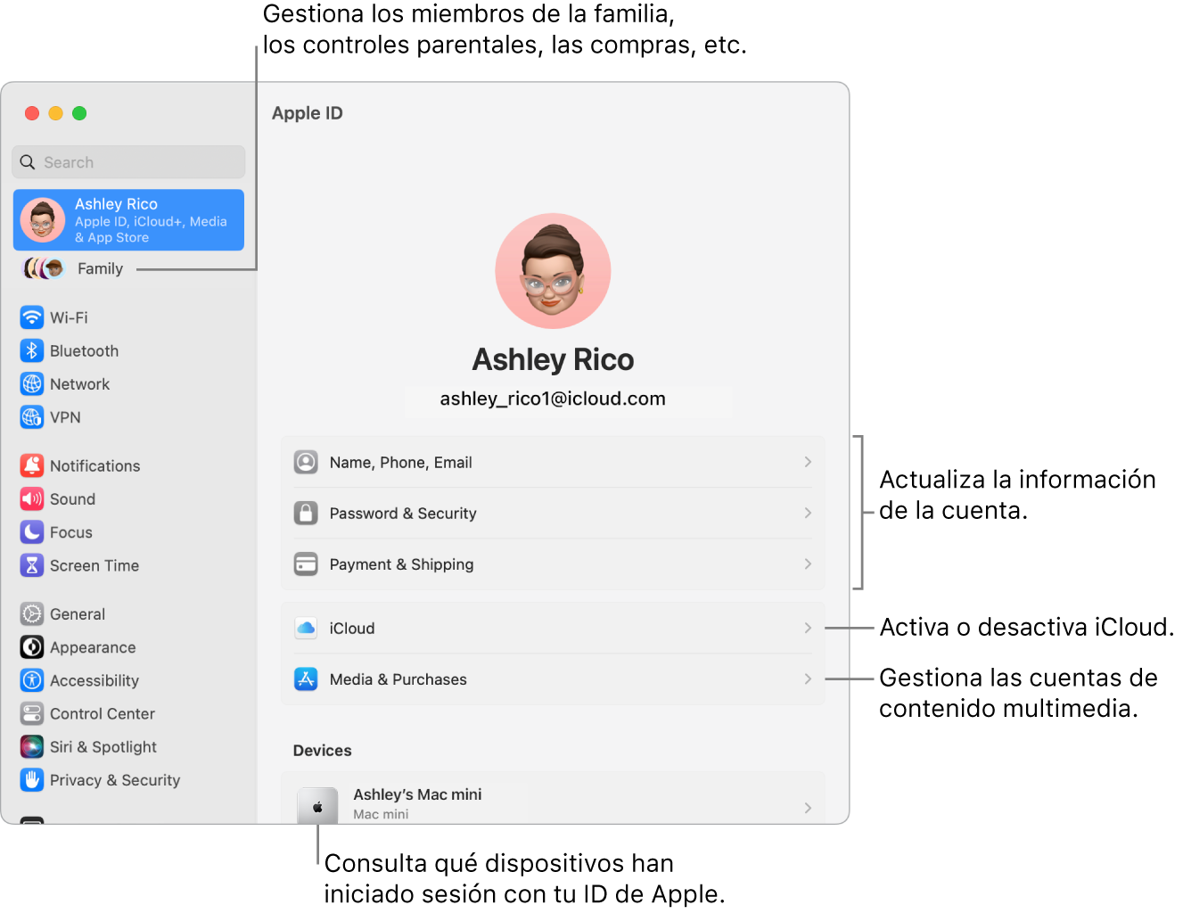 Los ajustes del ID de Apple en Ajustes del Sistema con llamadas para actualizar la información de la cuenta, activar o desactivar las funciones de iCloud, gestionar las cuentas de redes sociales y Familia, donde puedes gestionar los miembros de la familia, el control parental, las compras y mucho más.