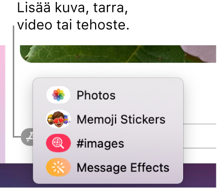 Apit-valikko, jossa on kuvien, Memoji-tarrojen, GIF-animaatioiden ja viestitehosteiden näyttämisen valinnat.
