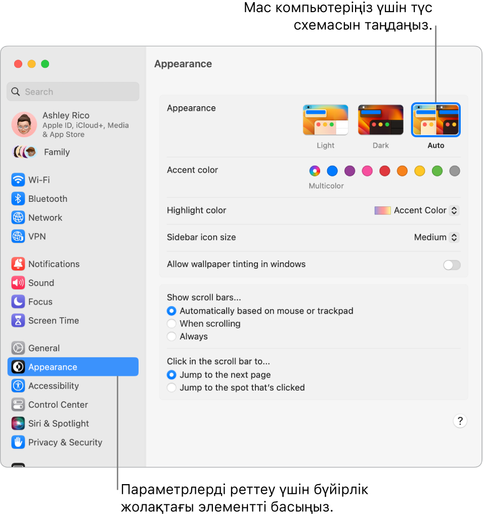 System Settings тармағындағы Appearance параметрлері.