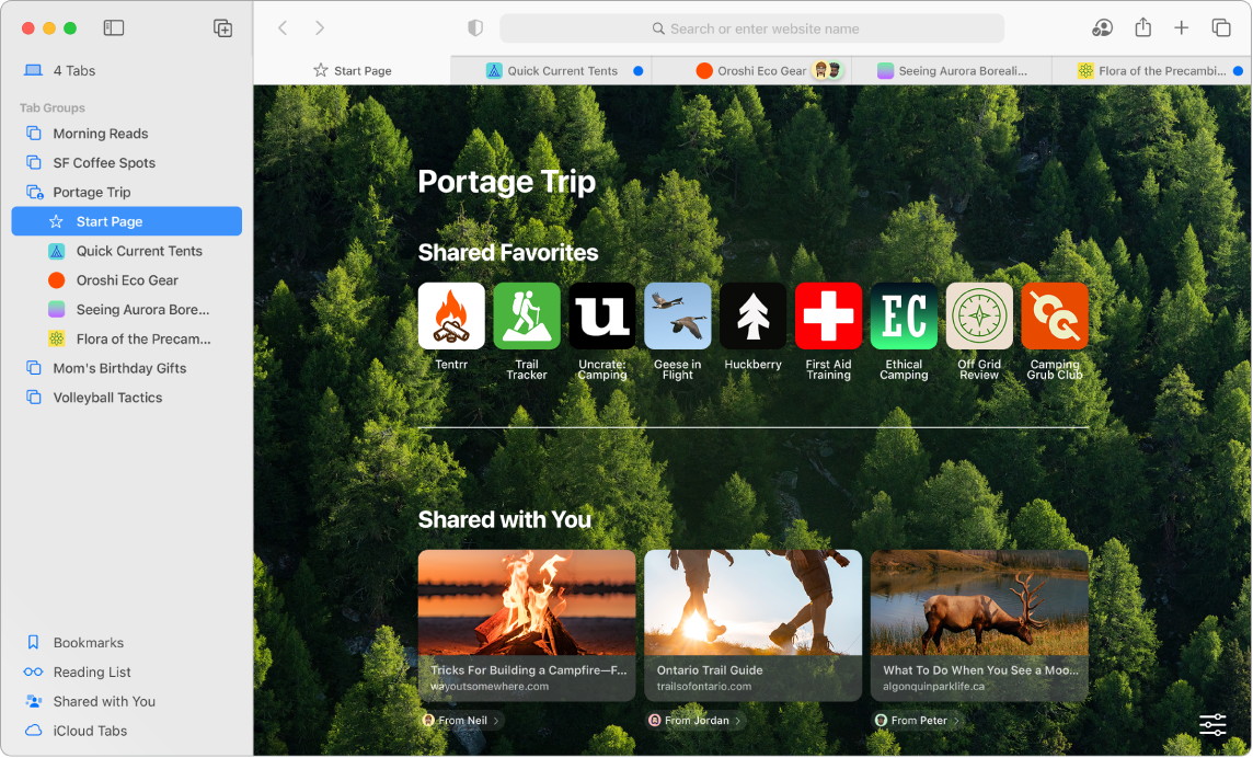 En Safari-side som viser et åpent sidepanel der Fanegrupper-menyen vises, en åpen delt fanegruppe med flere lenker, og Bokmerker, Leseliste, Delt med deg og iCloud-faner i sidepanelet.