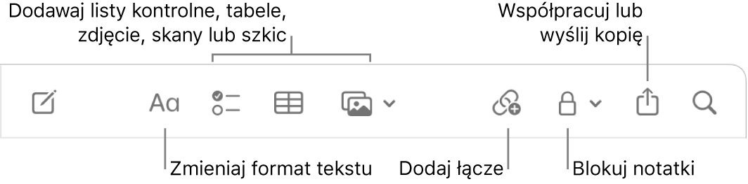 Pasek narzędzi aplikacji Notatki z dymkami pomocy do formatowania tekstu, dodawania list kontrolnych, tabel, łączy, zdjęć i multimediów, blokowania notatek, udostępniania ich oraz wysyłania kopii.