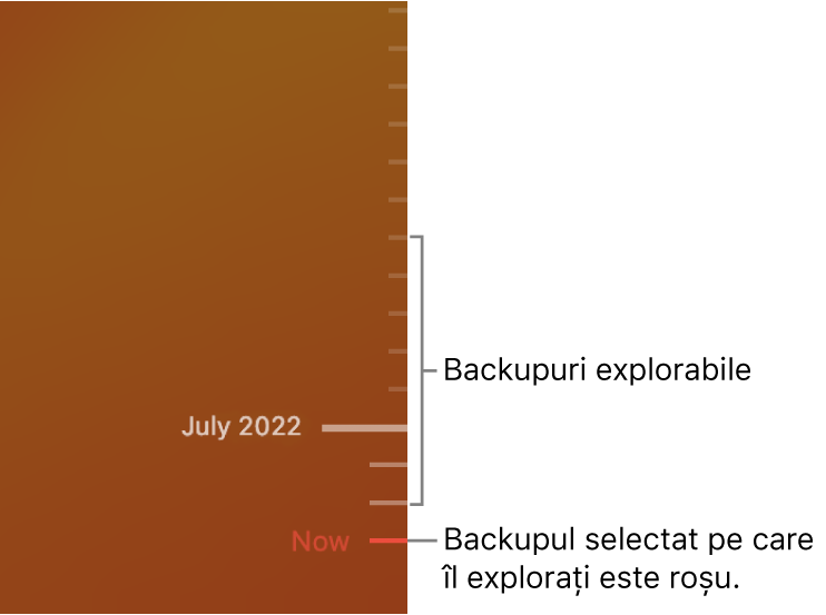 Cronologia backupurilor Time Machine.