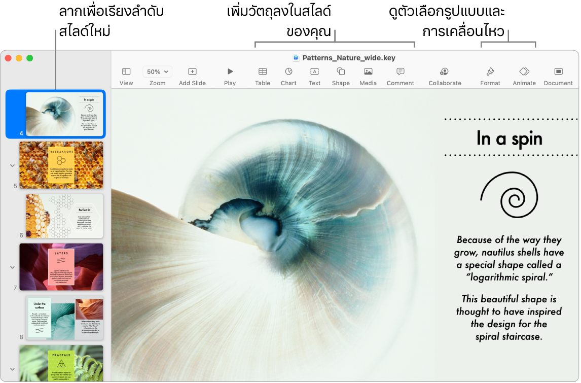 หน้าต่าง Keynote ที่แสดงแถบนำทางสไลด์ทางด้านซ้ายและวิธีจัดลำดับสไลด์ใหม่ แถบเครื่องมือและเครื่องมือการแก้ไขของแถบเครื่องมือที่ด้านบนสุด ปุ่มใช้งานร่วมกันที่อยู่ใกล้กับด้านขวาบนสุด และปุ่มรูปแบบและปุ่มเคลื่อนไหวทางด้านขวา