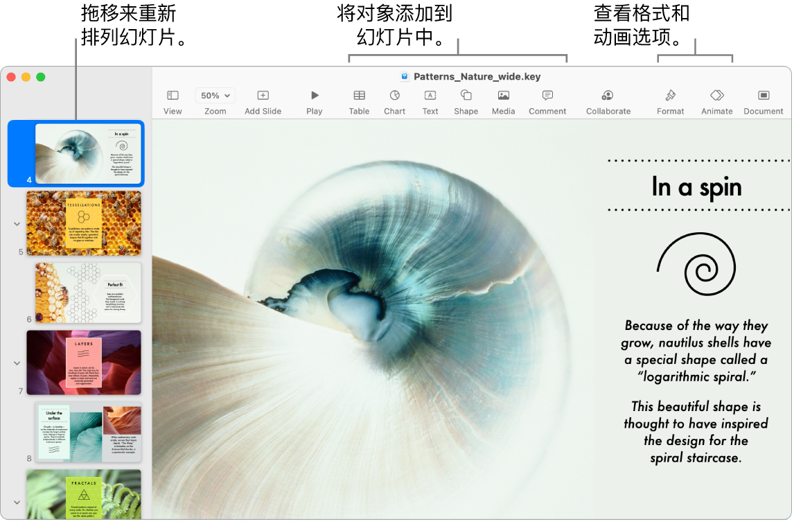 Keynote 讲演窗口，左侧显示幻灯片导航器和如何重新排序幻灯片，顶部是工具栏及其编辑工具，右上方附近是“协作”按钮，右侧是“格式”和“动画效果”按钮。