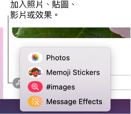 包含顯示照片、Memoji 貼圖、GIF 和訊息效果選項的 App 選單。