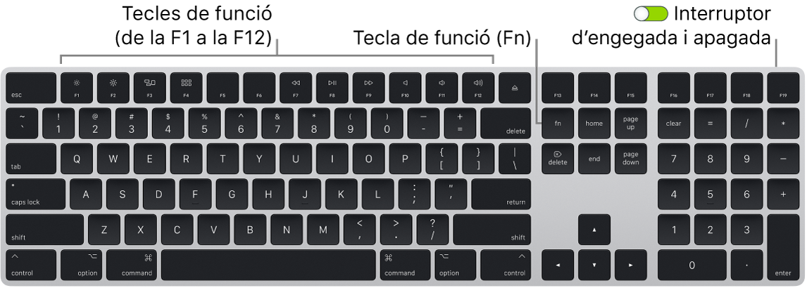 El Magic Keyboard amb la tecla Funció (Fn) a l’angle superior esquerre i l’interruptor d’engegada i apagada a l’angle superior dret del teclat.