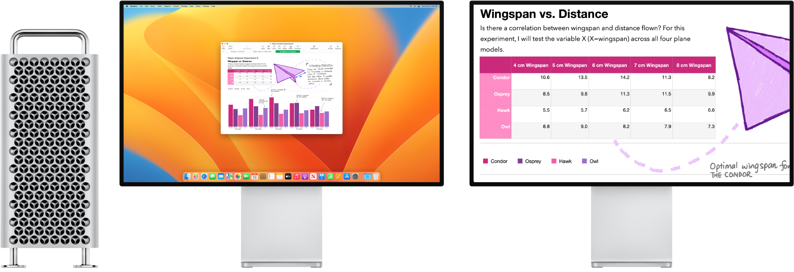 Zoom Display is active on the secondary display, while the screen size stays fixed on the left display.