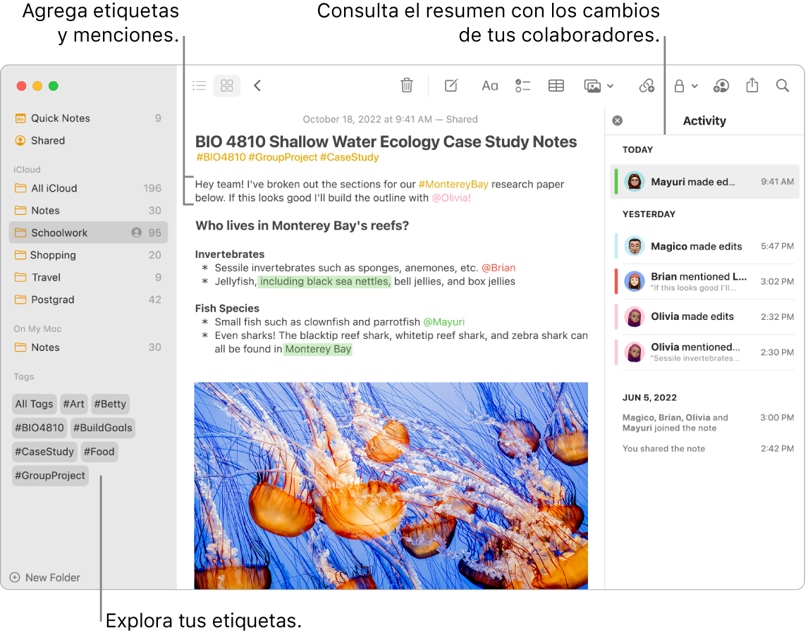 Una ventana de Notas en la visualización como galería con texto indicando las etiquetas en la barra lateral. En la nota principal, hay texto que indica una etiqueta y una mención. En la parte derecha hay una lista de actividades con texto indicando la visualización de un resumen de las actualizaciones.