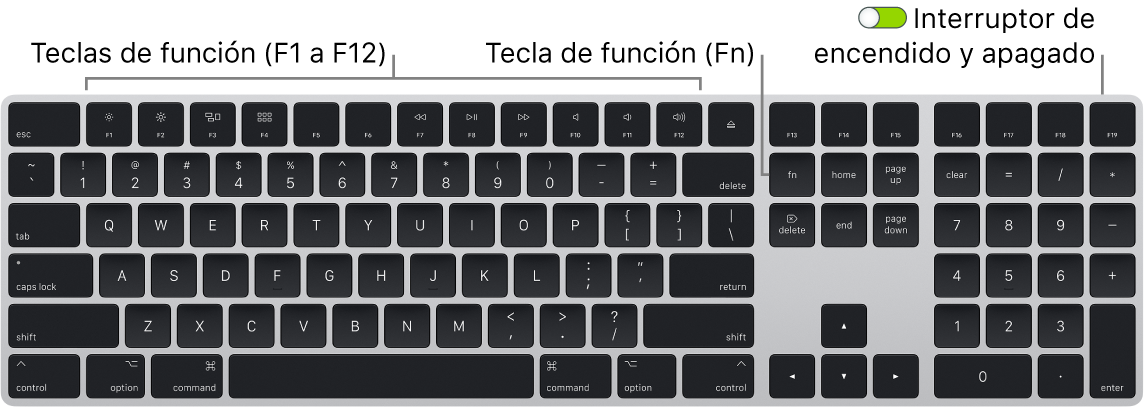 dividendo Guau Escarpado Magic Keyboard con teclado numérico - Soporte técnico de Apple