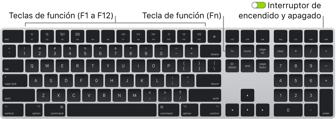 Magic Keyboard con teclado numérico - técnico de