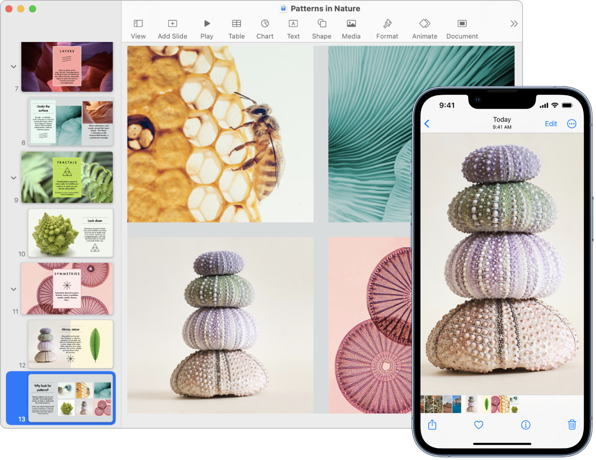 Un iPhone en el que se ve una foto, junto a un Mac en el que se muestra la foto después de pegarla en una presentación de Keynote.