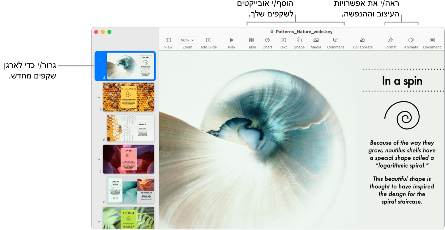 חלון של Keynote המציג את הדרך לשינוי הסדר של שקפים ואת נווט השקפים משמאל, את סרגל הכלים ואת כלי העריכה בחלק העליון, את הכפתור ״שתף פעולה״ בסמוך לפינה הימנית העליונה ואת הכפתורים ״עיצוב״ ו״הנפש” מימין.