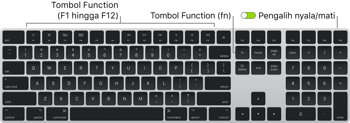 Magic Keyboard menampilkan tombol Function (Fn) di pojok kiri bawah dan pengalih nyala/mati di pojok kanan atas papan ketik.