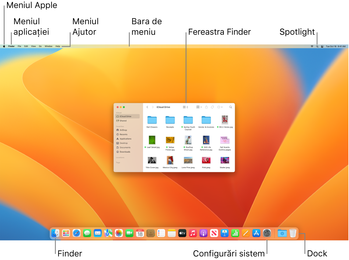 Un ecran Mac afișând meniul Apple, meniul Aplicații, meniul Ajutor, bara de meniu, o fereastră Finder, pictograma Spotlight, pictograma Finder, pictograma Configurări sistem și Dock-ul.