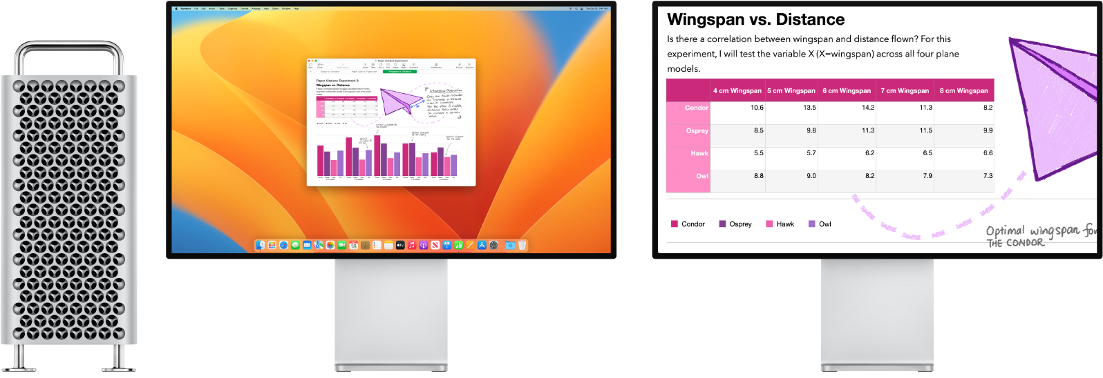 Funkcija Zoom Display je dejavna na sekundarnem zaslonu, velikost zaslona pa ostaja enaka na levem zaslonu.
