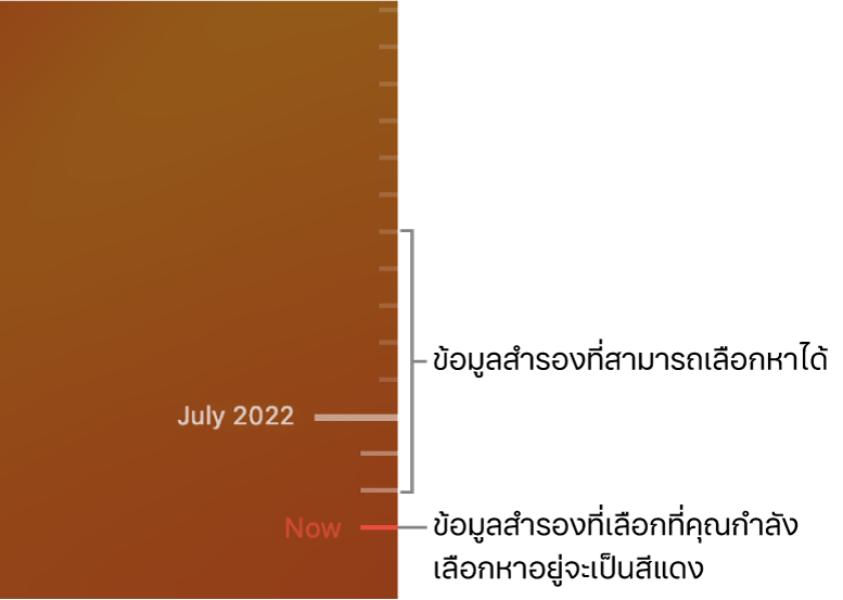 ไทม์ไลน์ข้อมูลสำรอง Time Machine