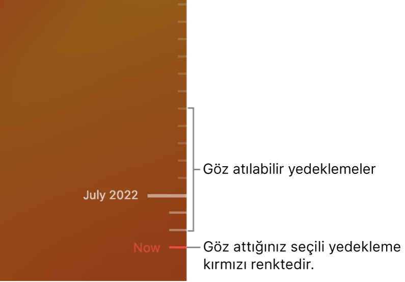 Time Machine yedekleme zaman ekseni.