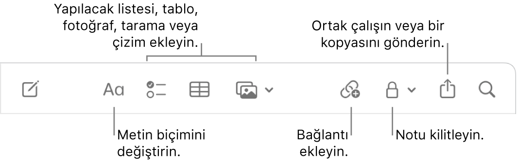 Metin biçimi belirtme çizgileri, yapılacaklar listesi, tablo, bağlantı, fotoğraflar/ortam, kilitleme, paylaşma ve kopya gönderme araçları ile Notlar araç çubuğu.