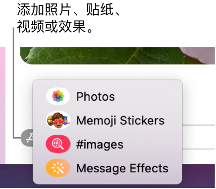 App 菜单,包含的选项可用于显示照片、拟我表情贴纸、GIF 和信息效果。