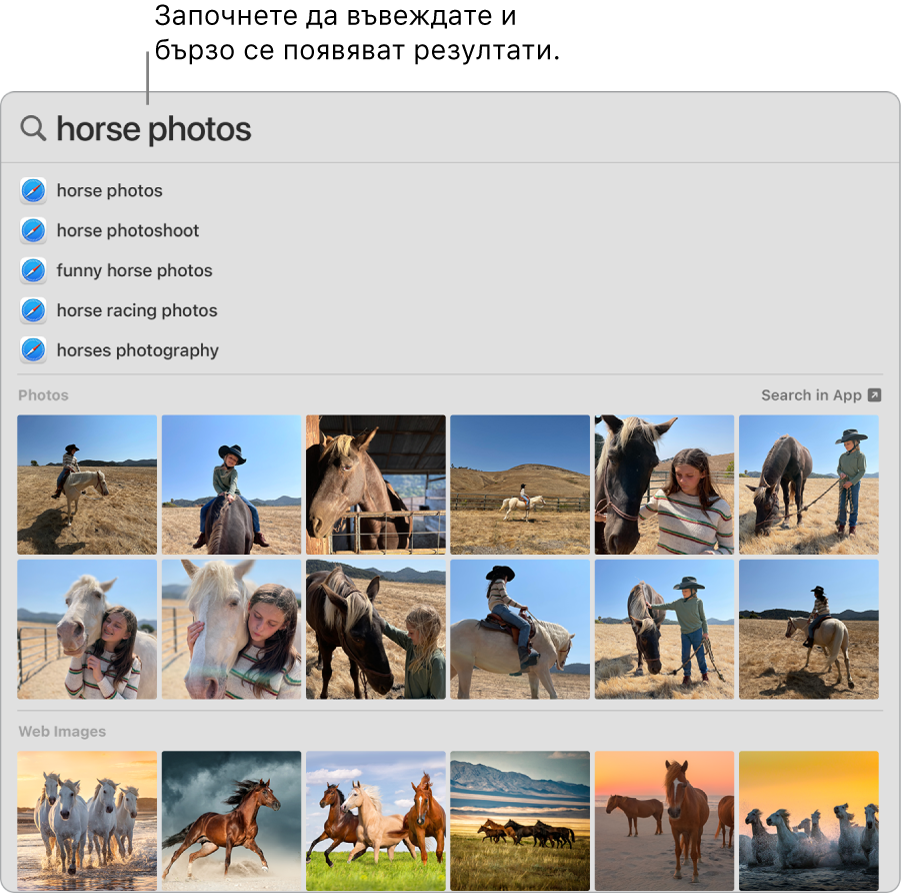 Прозорецът на Spotlight, който показва резултати от търсенето за „horse photos“ („снимки на коне“).