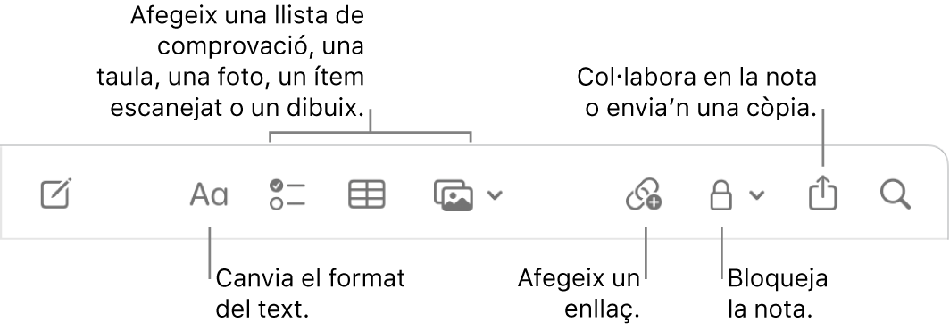 La barra d’eines de l’app Notes amb les llegendes de les eines de format de text, llista de verificació, taula, enllaç, fotos/multimèdia, bloqueig, compartir i enviament de còpia.