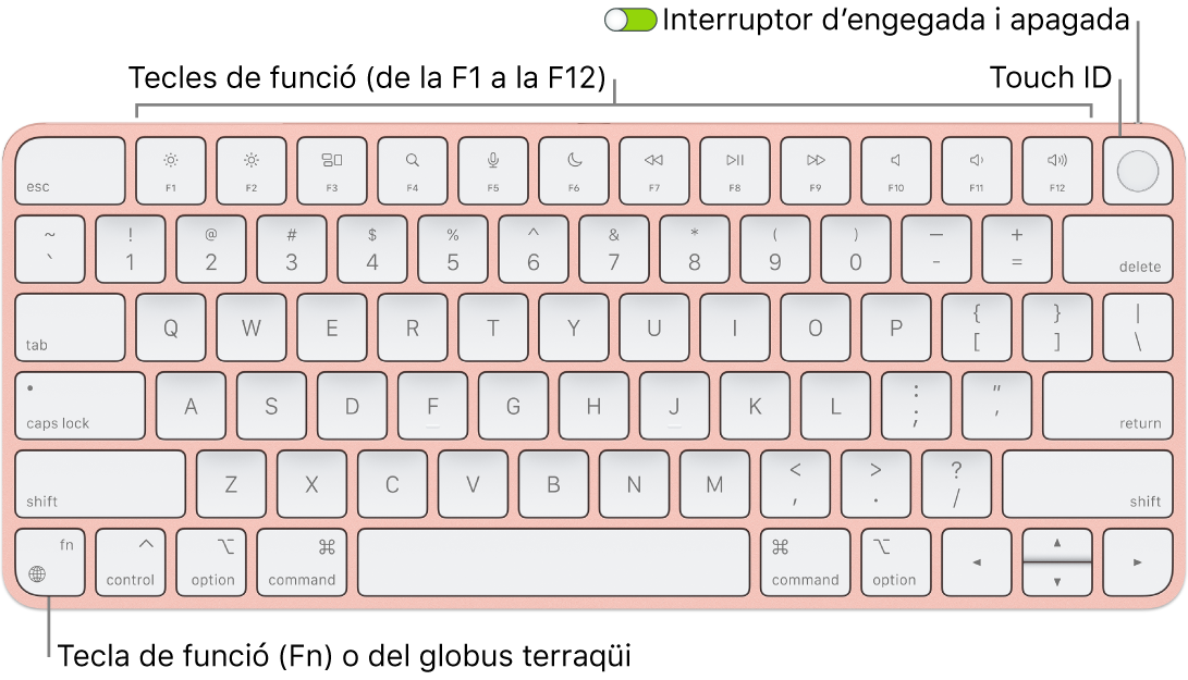 Magic Keyboard amb Touch ID en què es veu la filera de tecles de funció amb el Touch ID a la part superior i la tecla Funció (Fn) o del globus terraqüi a l’angle inferior esquerre.