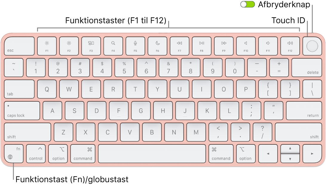 Magic Keyboard med Touch ID, som viser rækken med funktionstaster og Touch ID øverst samt Funktionstasten (Fn)/globustasten i nederste venstre hjørne.