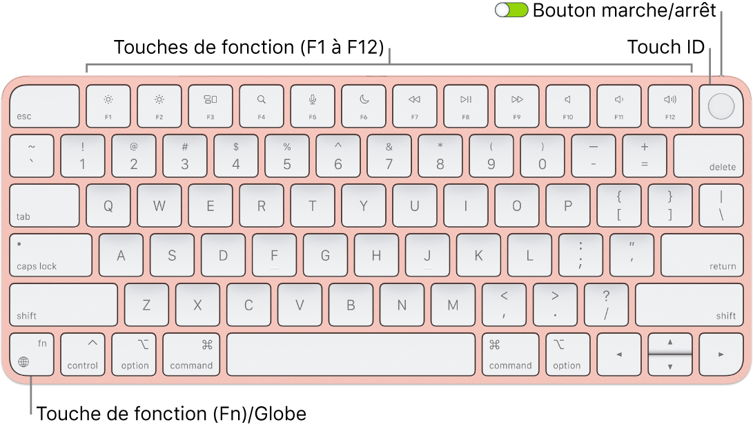 Le Magic Keyboard avec Touch ID affichant le rang des touches de fonction et le capteur Touch ID en haut, ainsi que la touche Fonction (Fn)/Globe dans le coin inférieur gauche.
