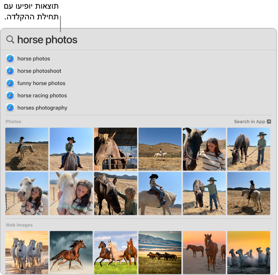 החלון של Spotlight שמציג תוצאות חיפוש ״תמונות של סוסים״.