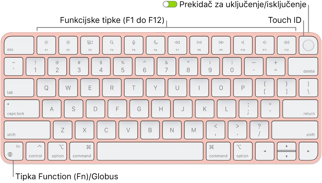 Magic Keyboard s Touch ID-jem na kojem se vidi red funkcijskih tipki i Touch ID na vrhu i tipka Funkcija (Fn)/Globus u donjem lijevom kutu.