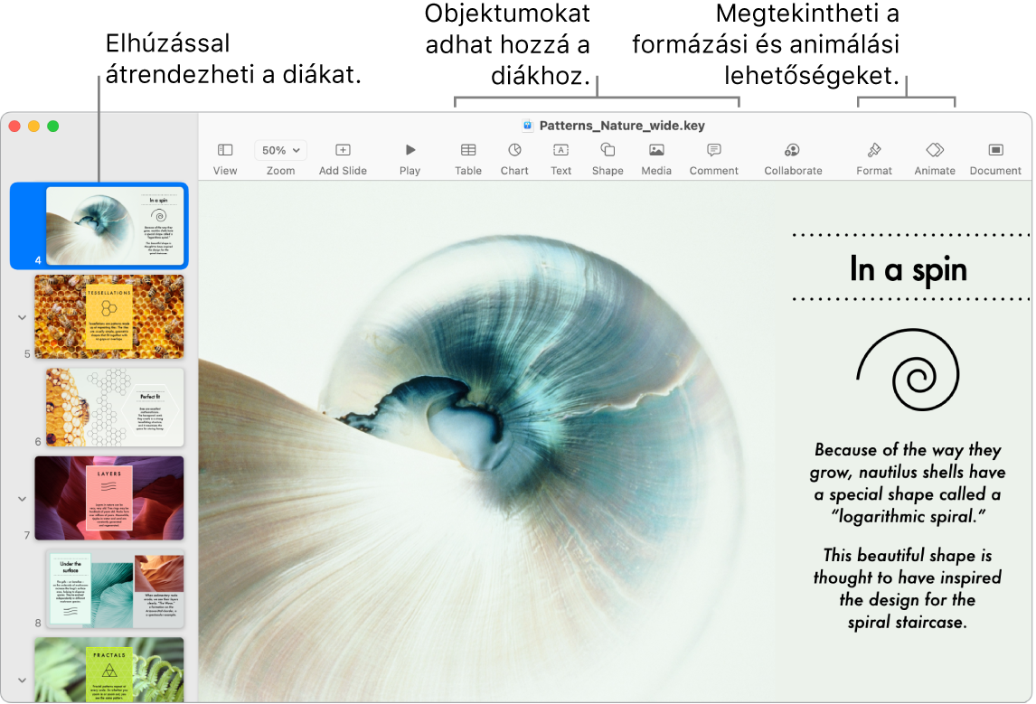 A Keynote ablaka a dianavigátorral és a diák átrendezésére szolgáló lehetőségekkel a bal oldalon, az eszközsor a szerkesztési eszközökkel a felső részen, az Együttműködés gombbal a jobb felső sarokban és a Formázás és Animálás gombokkal a jobb oldalon.