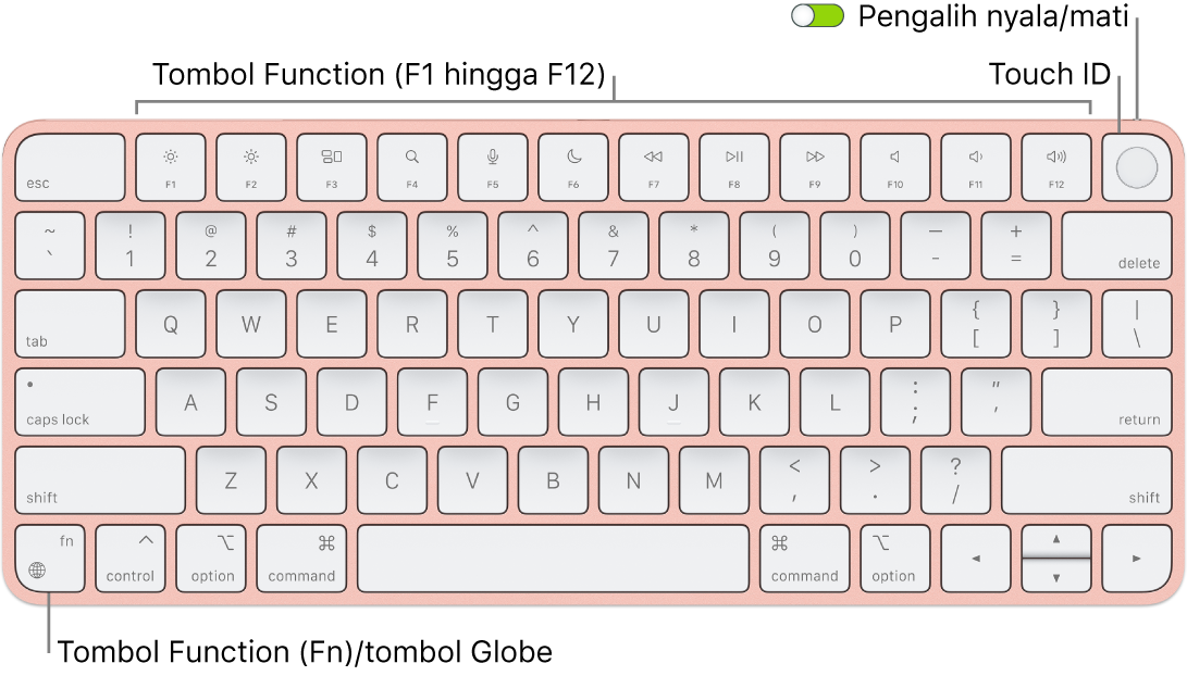 Magic Keyboard dengan Touch ID menampilkan baris tombol function dengan Touch ID di sepanjang bagian atas dan tombol Function (Fn)/Globe di pojok kiri bawah.
