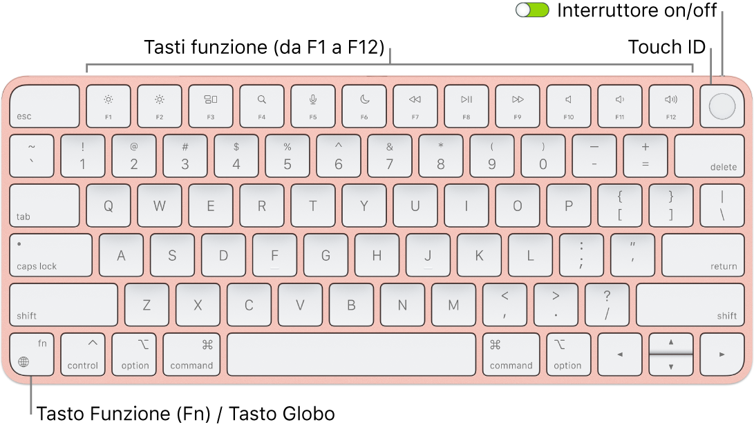 La tastiera Magic Keyboard con Touch ID che mostra i tasti funzione e Touch ID in alto e il tasto Funzione (Fn)/Globo nell'angolo in basso a sinistra.