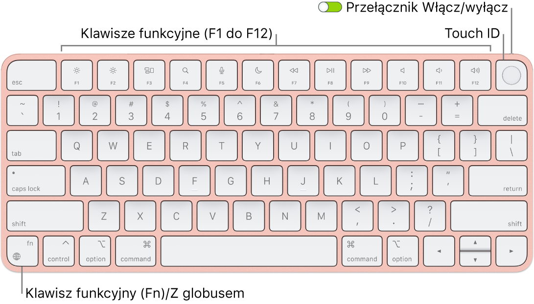 Klawiatura Magic Keyboard z Touch ID. Na górze znajduje się rząd klawiszy funkcyjnych oraz czytnik Touch ID, natomiast w lewym dolnym rogu widoczny jest klawisz funkcji (Fn)/klawisz globu.