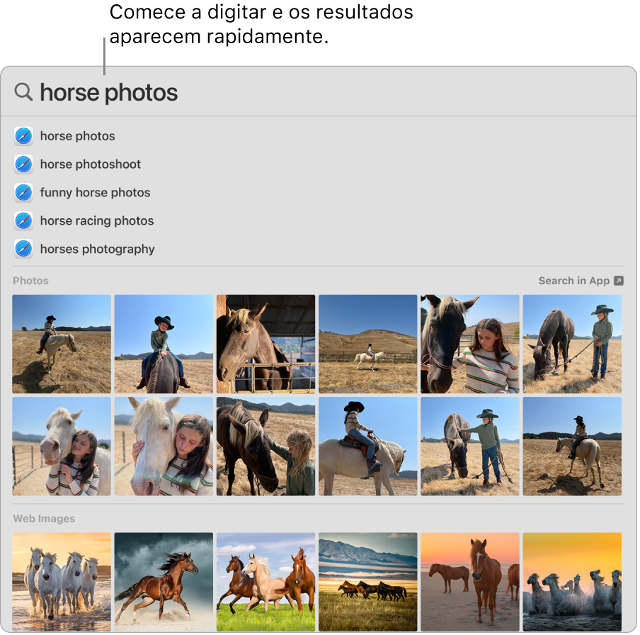 Janela do Spotlight mostrando resultados de busca por “fotos de cavalo”.