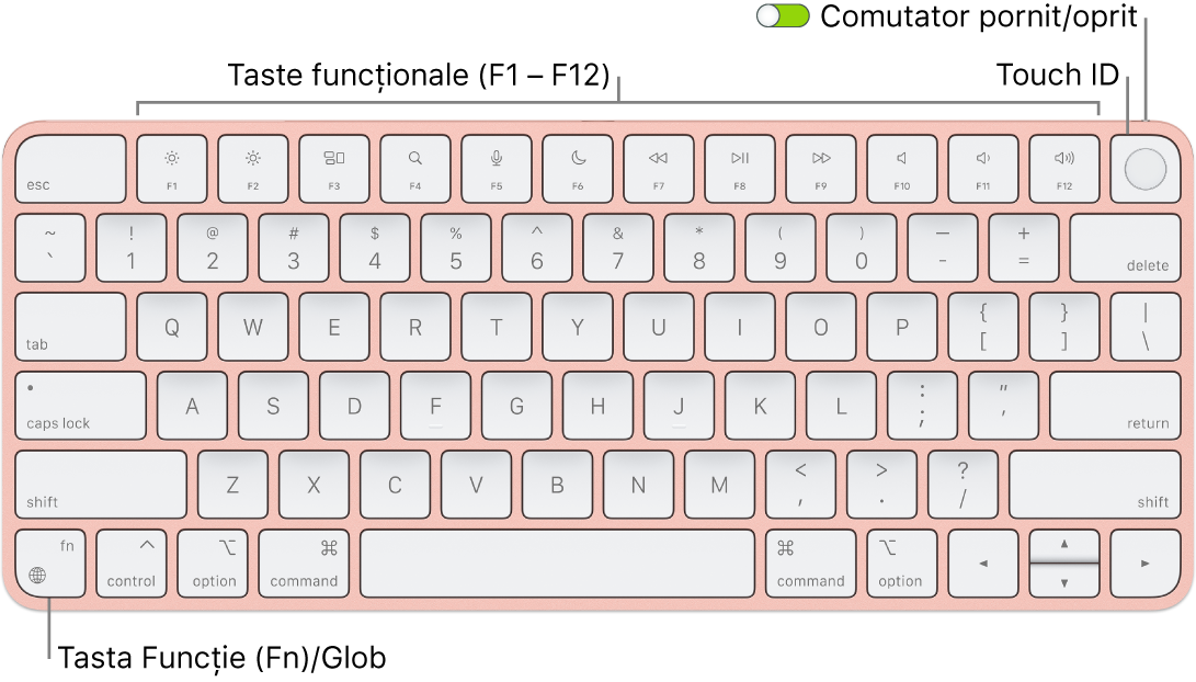 Tastatura Magic Keyboard cu Touch ID afișând rândul de taste funcționale și senzorul Touch ID în partea de sus, precum și tasta Funcție (Fn)/Glob în colțul stânga jos.