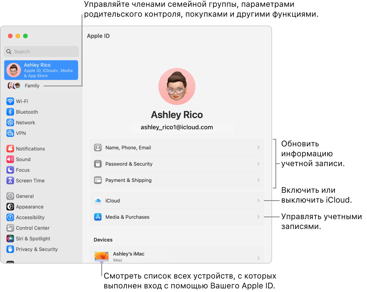 Настройки Apple ID в Системных настройках. Сносками показаны параметры обновления сведений учетной записи, включения или выключения функций iCloud и управления настройками учетных записей для мультимедиа. В настройках Семейного доступа показаны параметры управления устройствами членов семьи, родительским контролем, покупками и многим другим.