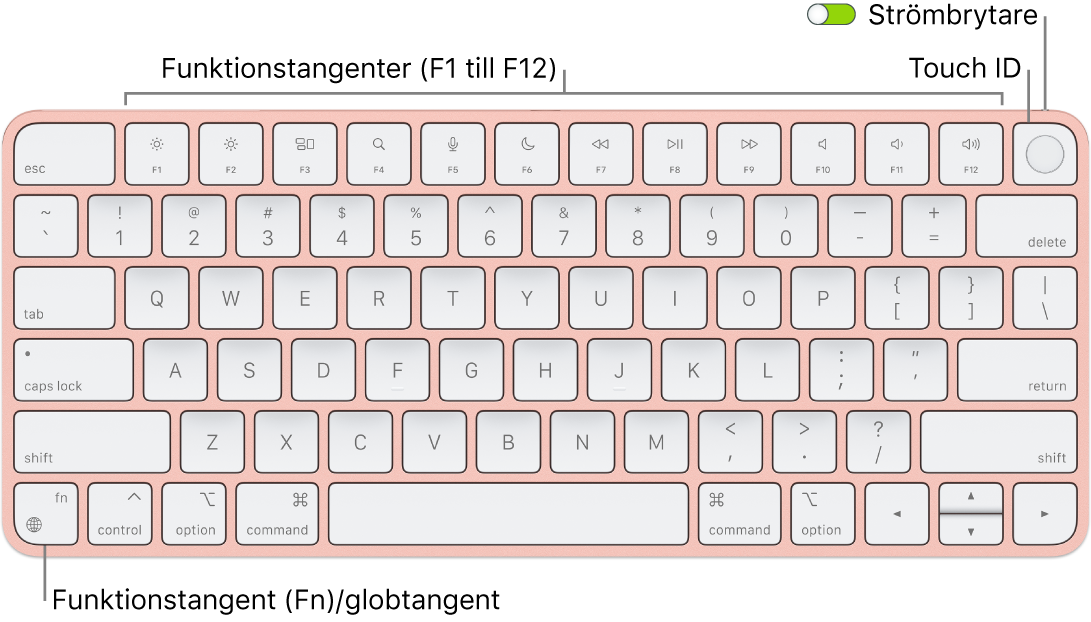Tipkovnica Magic Keyboard s Touch ID s prikazom vrstice funkcijskih in Touch ID na vrhu in funkcijske tipke (Fn)/globus tipka v spodnjem levem kotu.