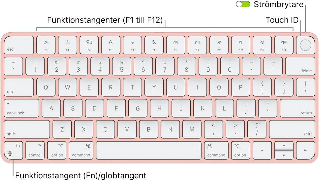 Magic Keyboard med Touch ID där raden med funktionstangenter och Touch ID visas längs överkanten och funktions (Fn)-/globtangenten i det nedre vänstra hörnet.