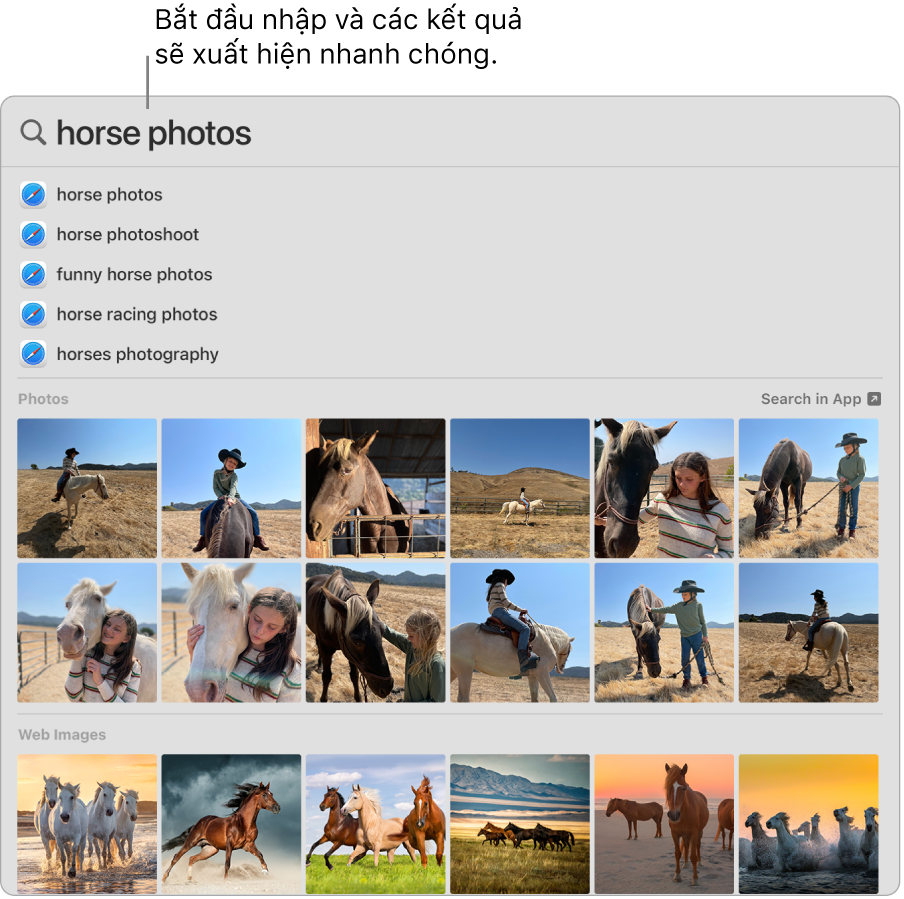 Cửa sổ Spotlight đang hiển thị các kết quả tìm kiếm cho “ảnh ngựa”.