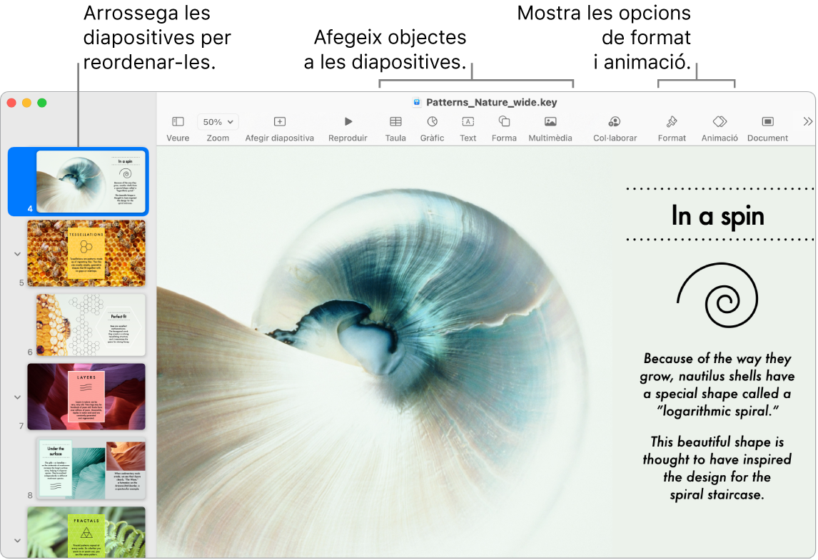 Una finestra del Keynote amb el navegador de diapositives al costat esquerra i com reordenar diapositives, la barra d’eines i les seves eines d’edició a la part superior, el botó Col·laborar a prop de la part superior dreta i els botons Format i Animació a la dreta.