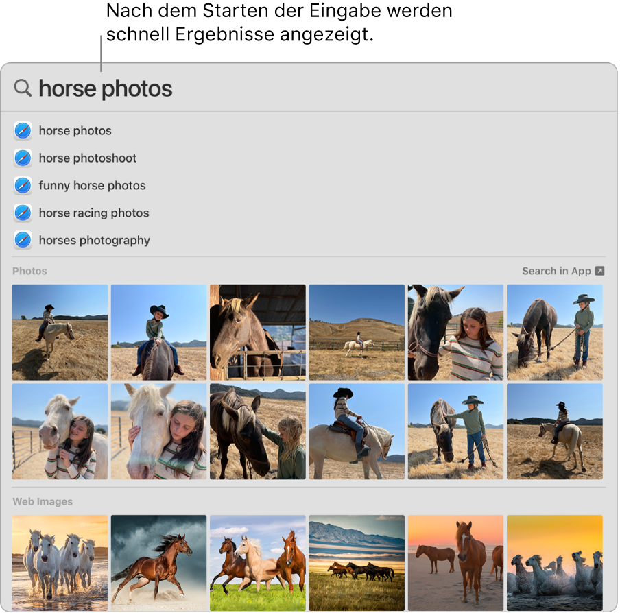 Das Spotlight-Fenster mit Suchergebnissen für „Pferdebilder“.