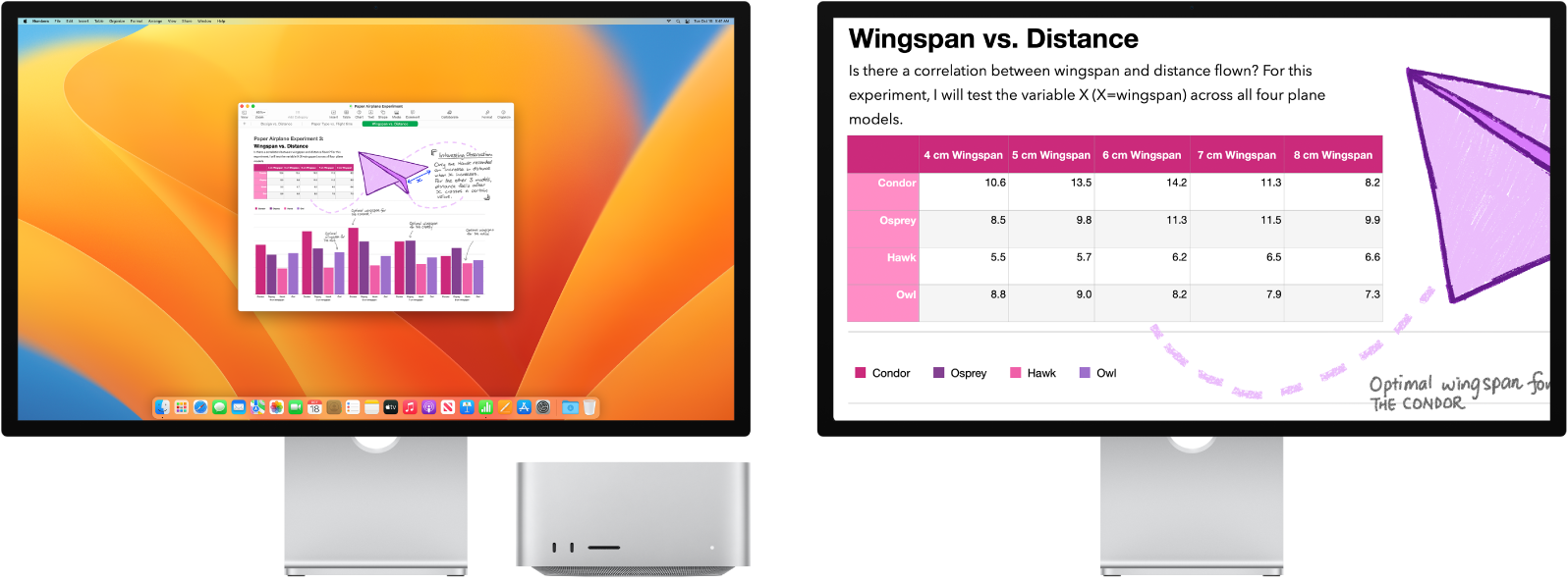 Zoom Display is active on the secondary display, while the screen size stays fixed on the left display.