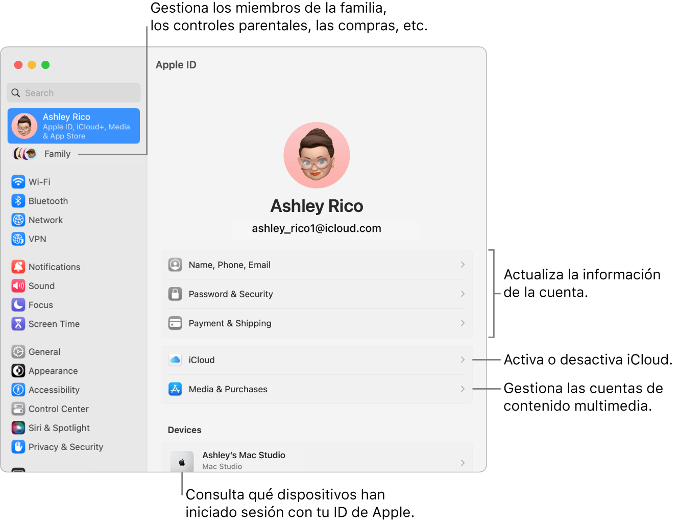 Los ajustes “ID de Apple” en Ajustes del Sistema con llamadas para actualizar la información de la cuenta, activar o desactivar las funciones de iCloud, gestionar las cuentas de redes sociales y Familia, donde puedes gestionar los miembros de la familia, el control parental, las compras y mucho más.