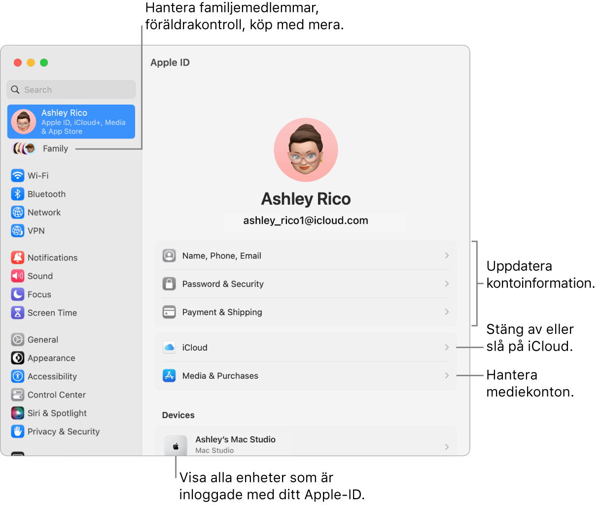 Apple‑ID-inställningarna i Systeminställningar med streck som pekar mot alternativ för att uppdatera kontoinformation, slå på eller stänga av iCloud-funktioner, hantera mediekonton och Familj där du kan hantera familjemedlemmar, föräldrakontroller, köp med mera..