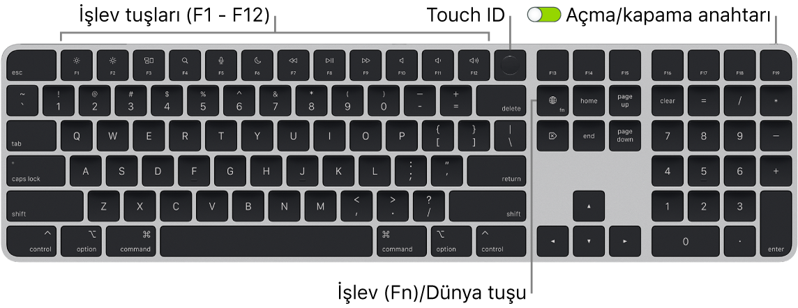 En üstte Touch ID ile işlev tuşları sırasını ve Sil tuşunun sağında İşlev (Fn)/Dünya tuşunu gösteren Touch ID ve Sayısal Tuş Takımı özellikli Magic Keyboard.
