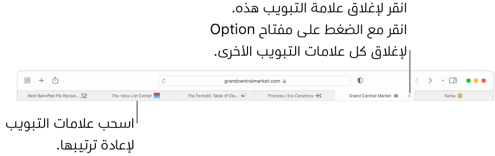 نافذة Safari وبها علامات تبويب.