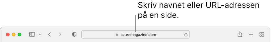 Det smarte søgefelt i Safari, hvor du kan skrive en sides navn eller URL-adresse.