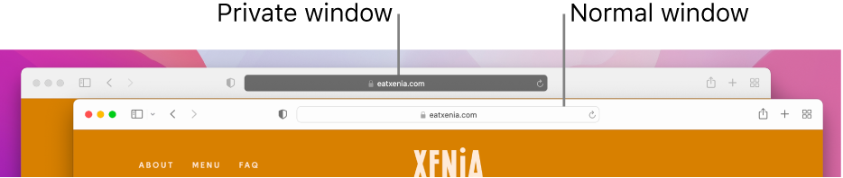 A normal Safari window with its light Smart Search field and a private Safari window with its dark Smart Search field.