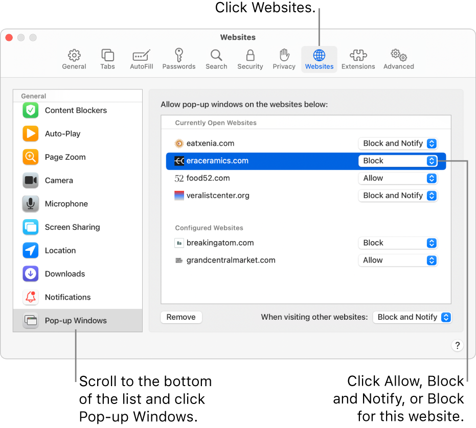 A window showing Safari preferences for websites, with Pop-up Windows selected at the bottom of the sidebar and a currently open website selected.